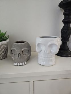 Coolest Skull Decorative Planters/ Vases