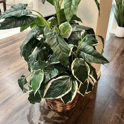 Fake Artificial Plant Tree 33” tall $55 OBO 