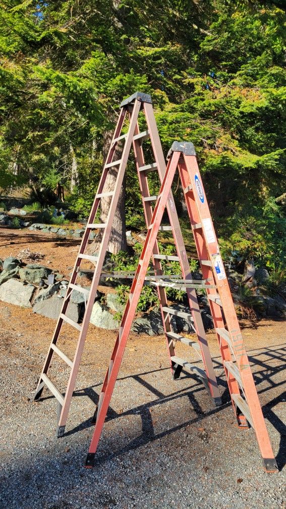 Werner Ladders 8' And 10'