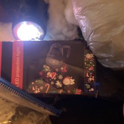 Christmas projection light