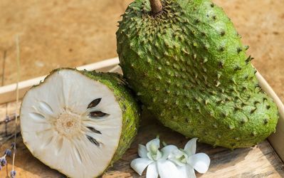 Soursop 5 gallons Available $90