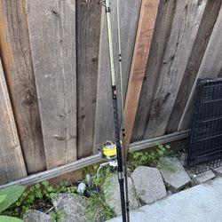 Penn Prevail 10ft Rod MH + Axeon AXS 90 Reel - Good Condition