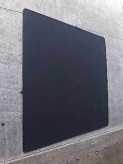Tesla sunshade