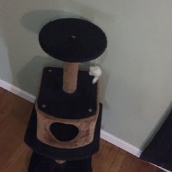 40 Inch Cat Tower/Bed *READY FOR PICK UP*