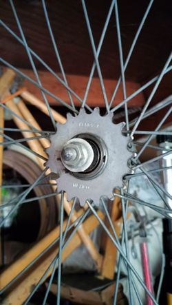 Schwinn cruiser