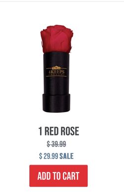 Preserved Roses