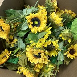 Wedding Decor - Sunflower Bulk
