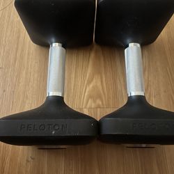 2 Peloton 30LB Weight 