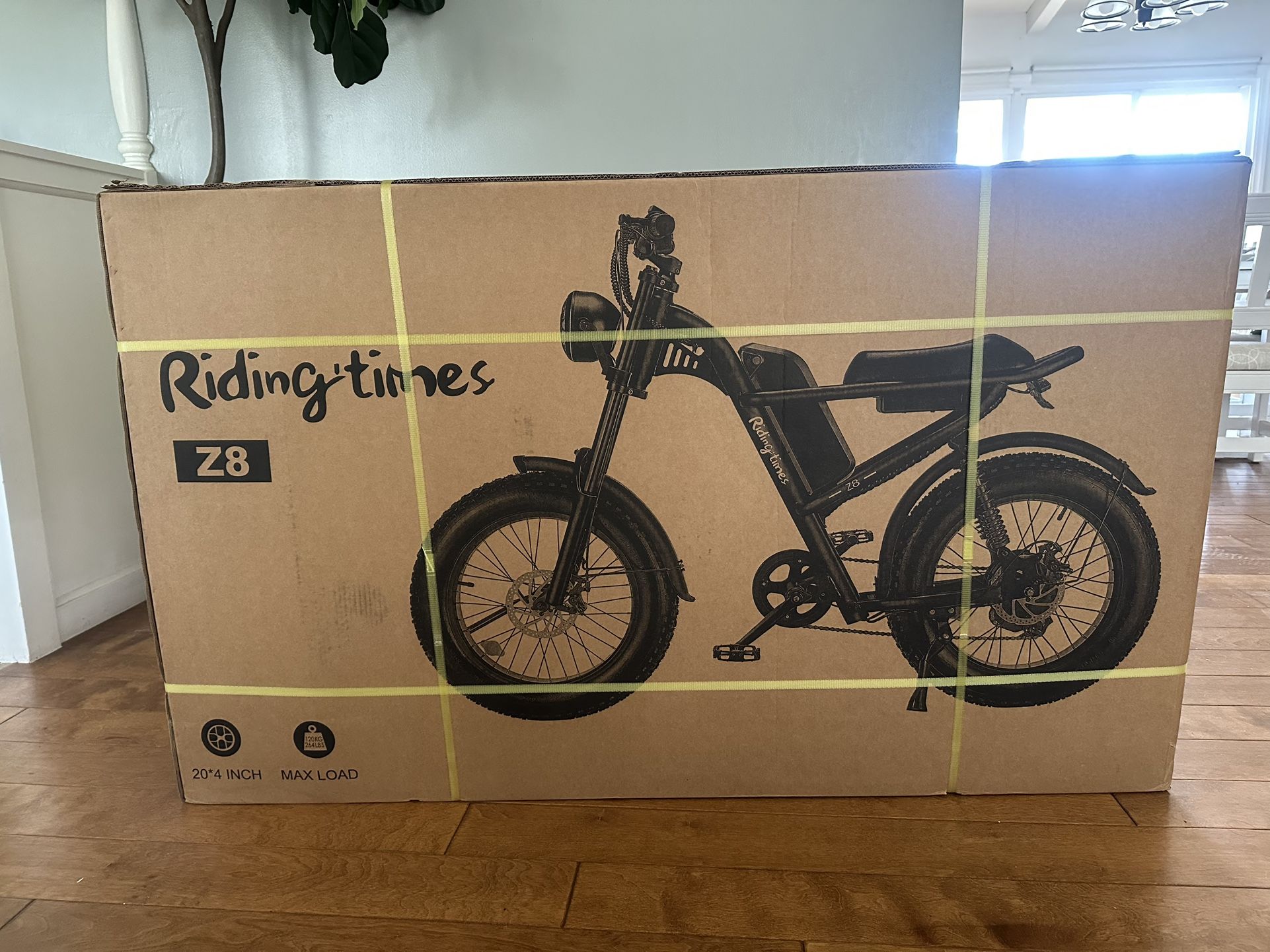 20 Inch Riding Times Electric Bike