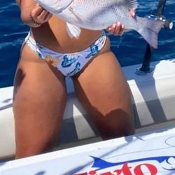 Snapper Fishing Charter