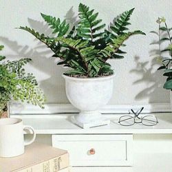 NEW! Artificial Boston Fern Plant in Vase, 16"x14" , CASH ONLY, PICKUP ONLY -home decor Modern Fake Plants Faux Plants Flowers