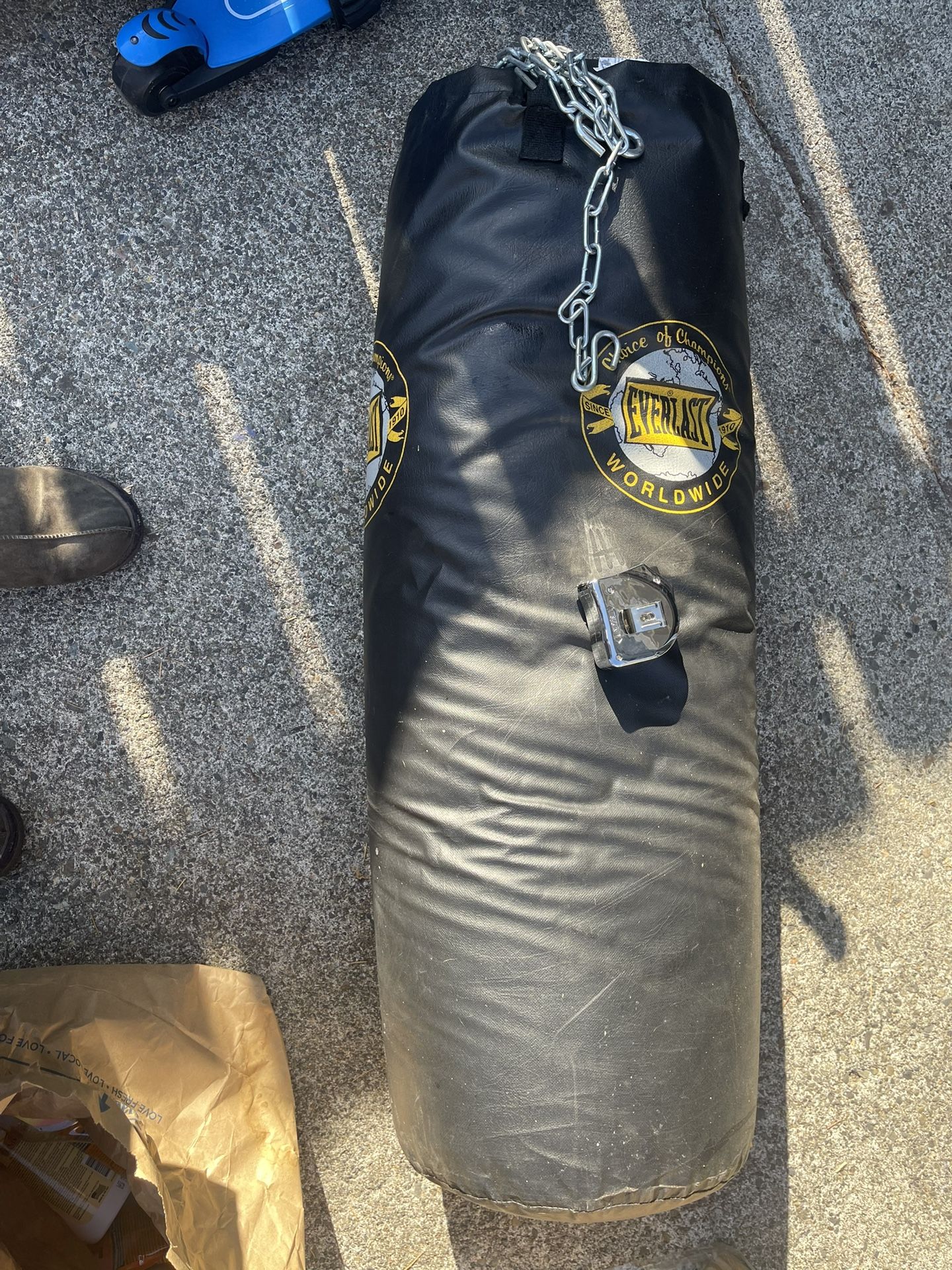 Everlast Punching Bag
