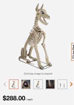 Home Accents HALLOWEEN 5ft Skeleton Dog Halloween Decoration