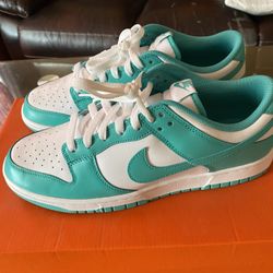 Nike Dunks Brand New