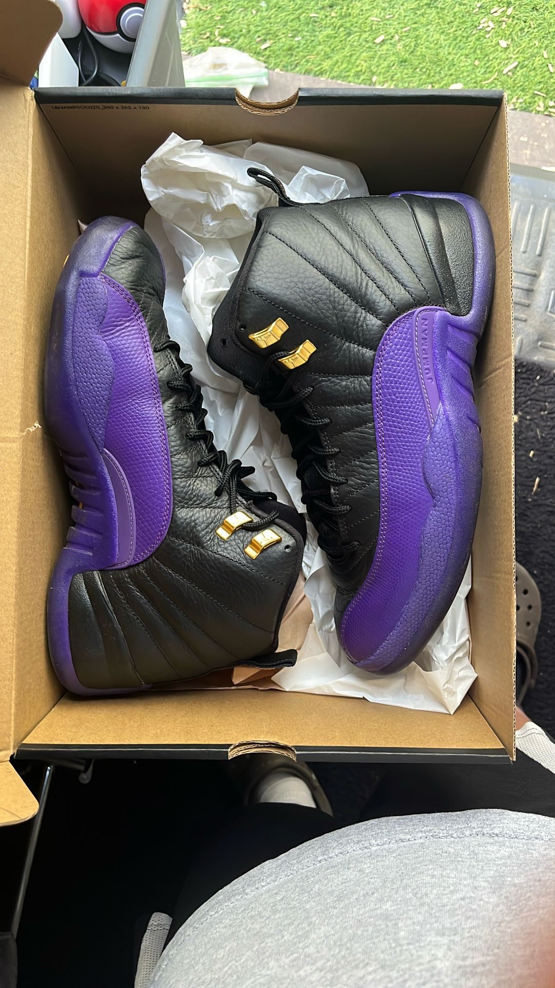 Air jordan 12 Retro