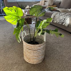 Faux Monstera Plant – Large Decorative Plant (Optional Basket)
