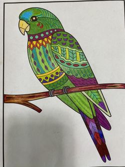 Hand colored parrot