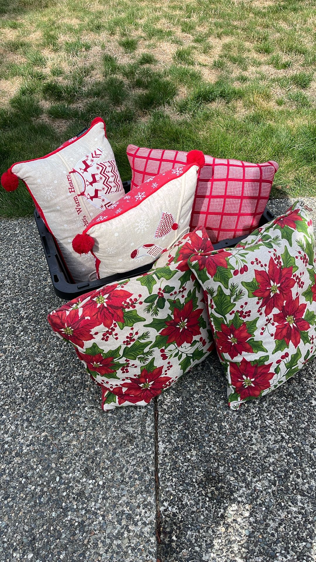 Holiday Pillows