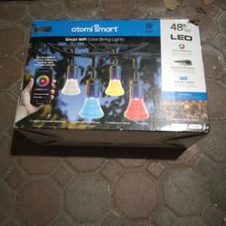 LED Color String Lights