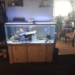 75 Gallon Fish Tank Everything Included