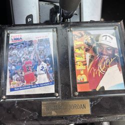 1991 MJ Playoff Card