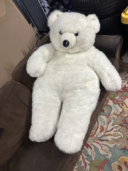 Big Teddy Bear