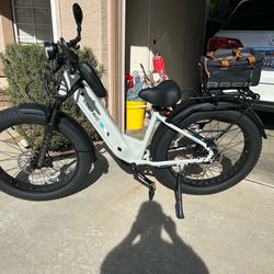 Lectric X Peak2 long range