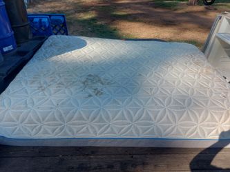 Tempra pedic mattress