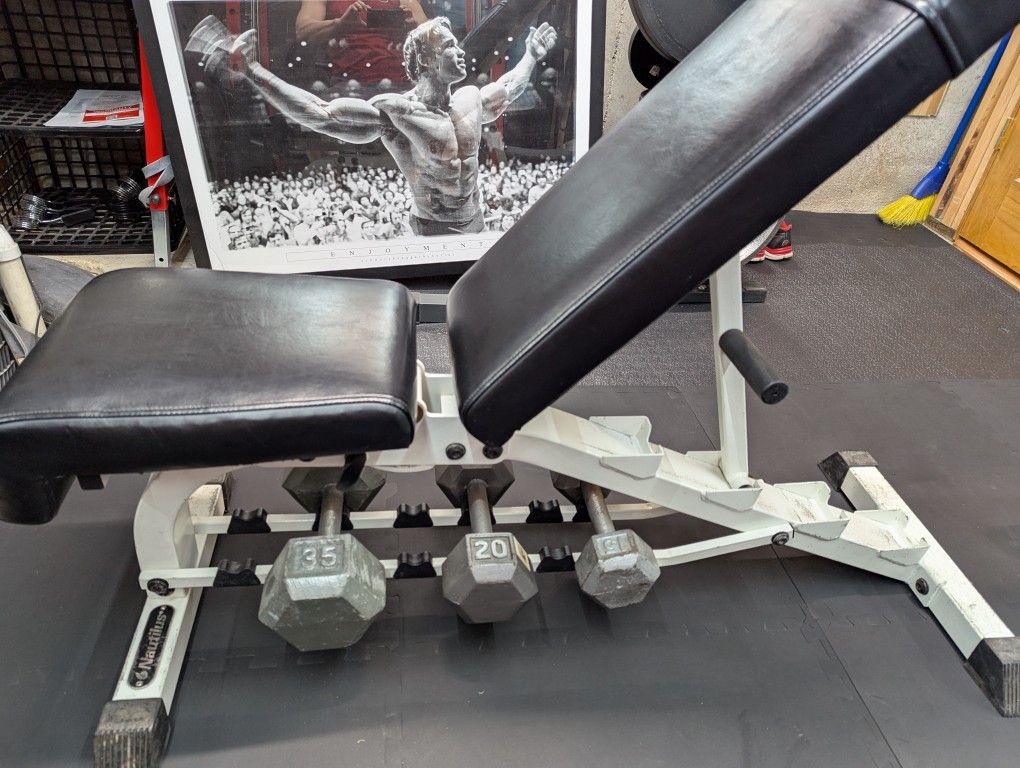 Heavy Nautilus Bench With Dumbbell Rack Underneath