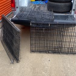 Dog Cages