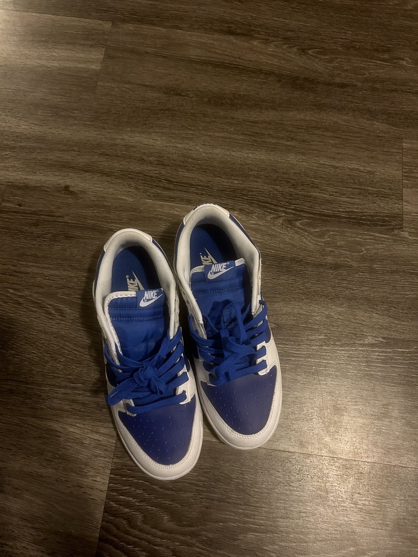 Nike Blue And White Dunk Sb