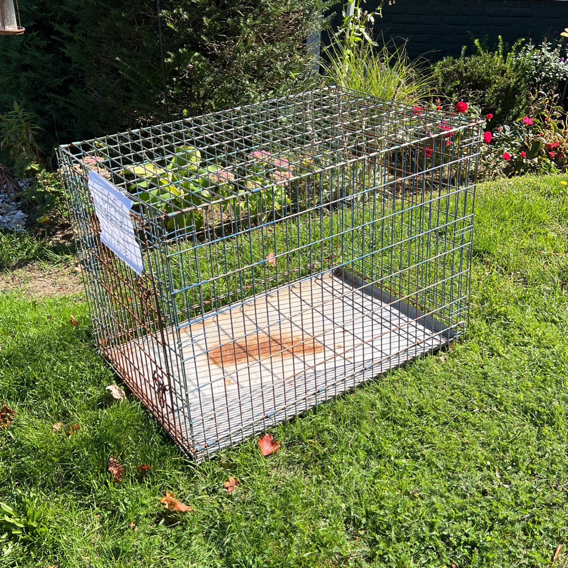 Extra Large Thick Metal Dog Or Animal Crate