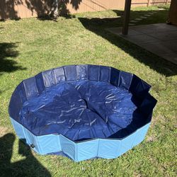 Collapsable Dog Pool