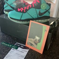 South Beach Lebron VIII (QS)