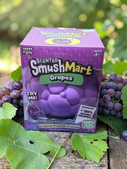 SmushMart Grapes Scented Squishy RMS Grape Squishy Toy Cute Sensory Gift Food Squishy
