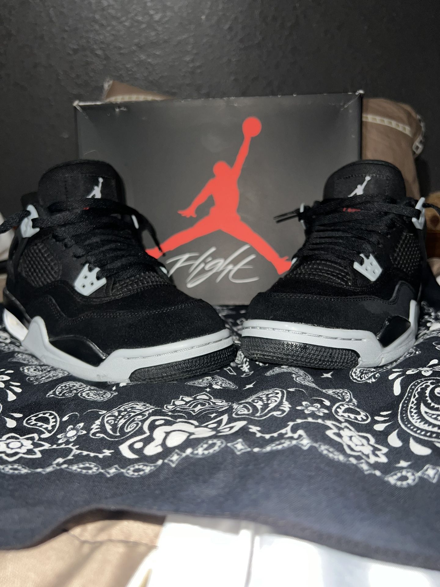 Jordan 4s Canvas 