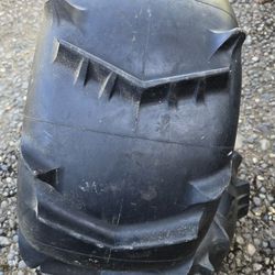  Sand Paddle Tires (2) 