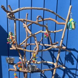 African Grey- Amazon Parrot Perch Tree.., AAA + Quality .., Mr Feathers New Hangout Spot !! 👍🏼