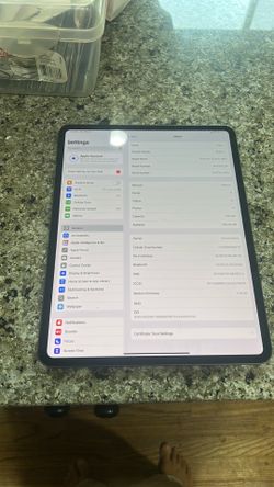IPad Pro 13 inch m4  256gb WiFi plus cellular