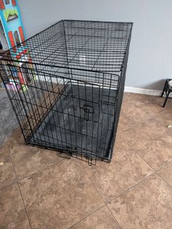 Large dog cage