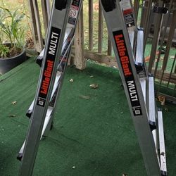 18' Little Gaint Multi