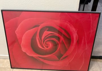 Framed rose poster