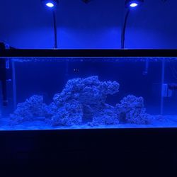 80 Gallon Aquarium With Stand And Rocks 