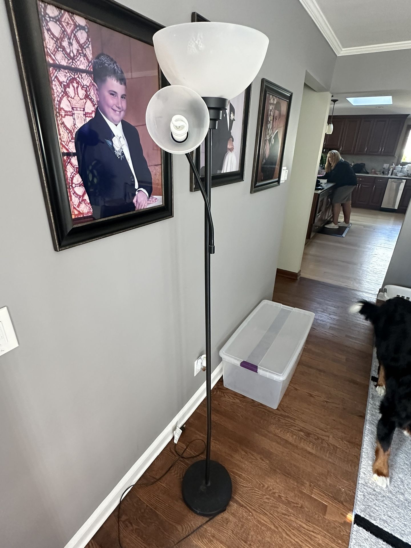 Floor Lamp