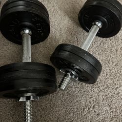 [moving Sale] Total 67 Lbs Of Weights + 2 Dumbbells 