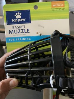 New MEDIUM dog mussel