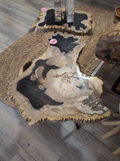 Table - Petrified wood