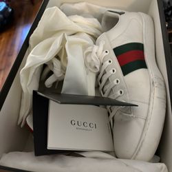 Gucci Shoes 