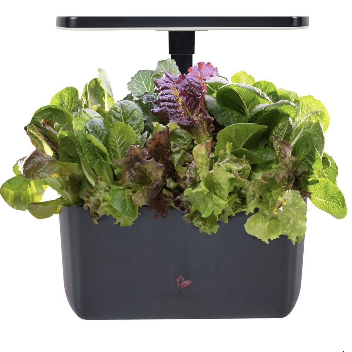 AeroGarden Harvest 2.0, Indoor Garden Hydroponic System