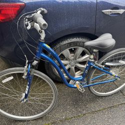 Citizen 2 Ladies Bike